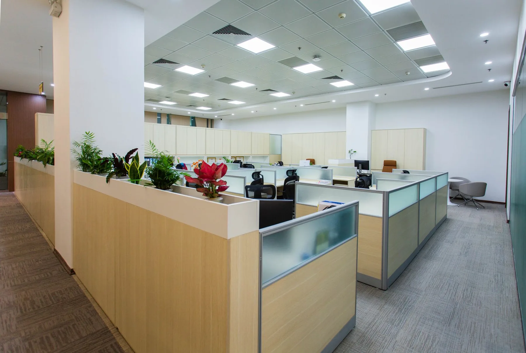 A bright open-plan office, cleaned and set up for the morning