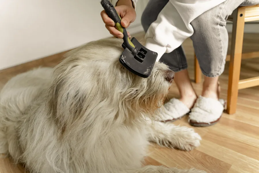 A deshedding brush working through a thick coat