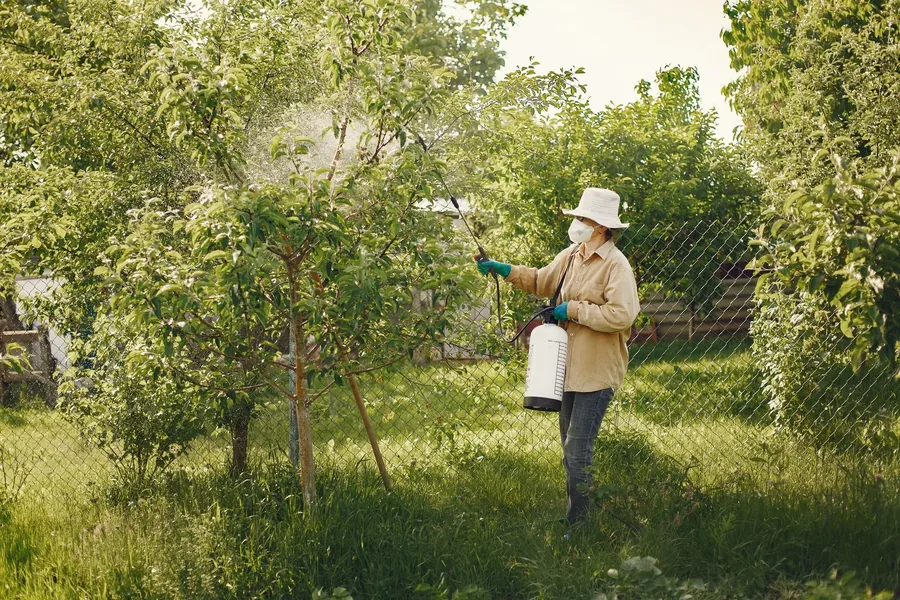 A yard being treated for mosquitoes