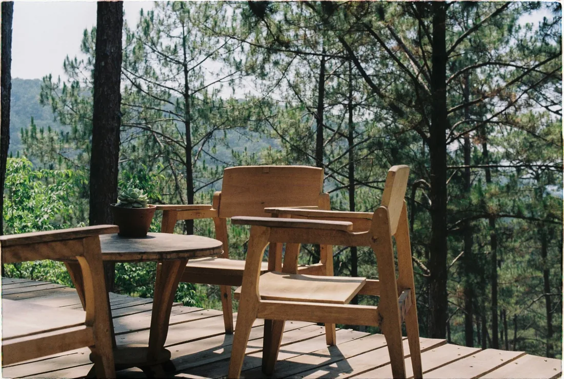 A deck with wooden chairs among pine trees