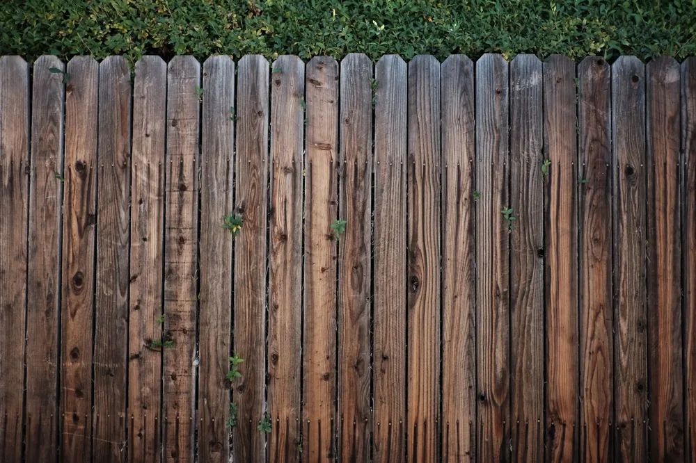 A tall dark stained cedar privacy fence