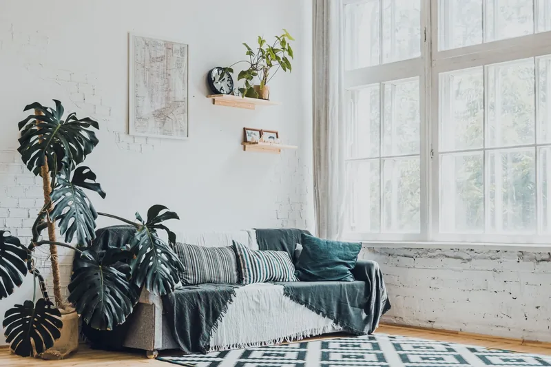 A bright room with plants after restoration