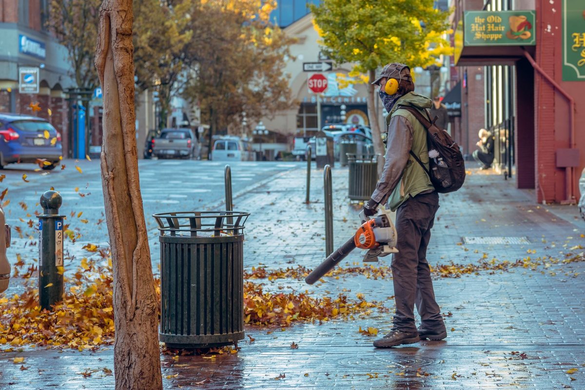Leaves being blown off a path