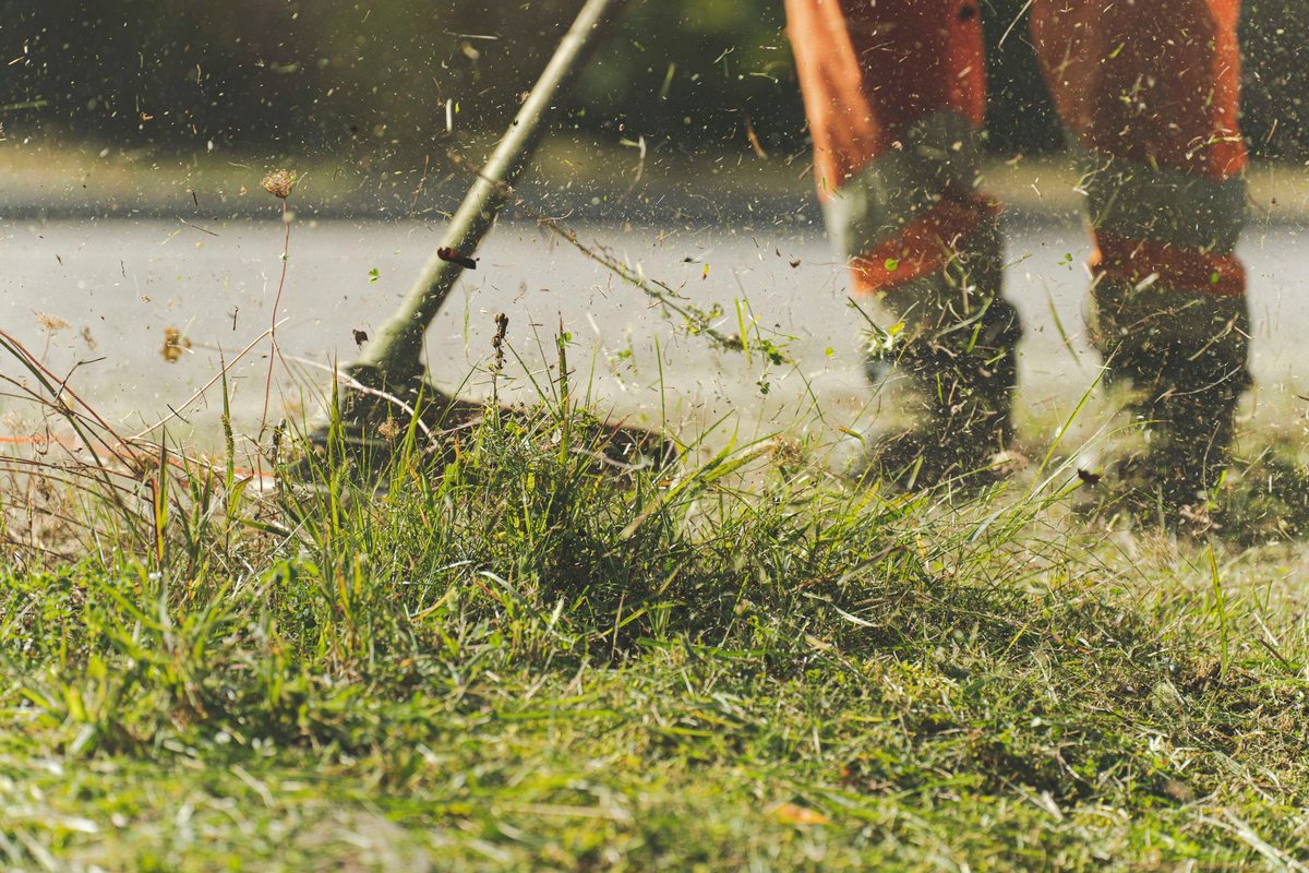 Long grass being cut back with a strimmer