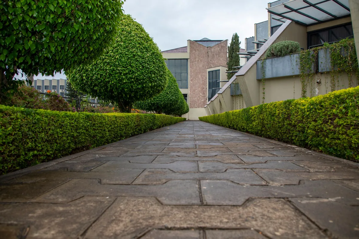A clipped formal hedge along a path