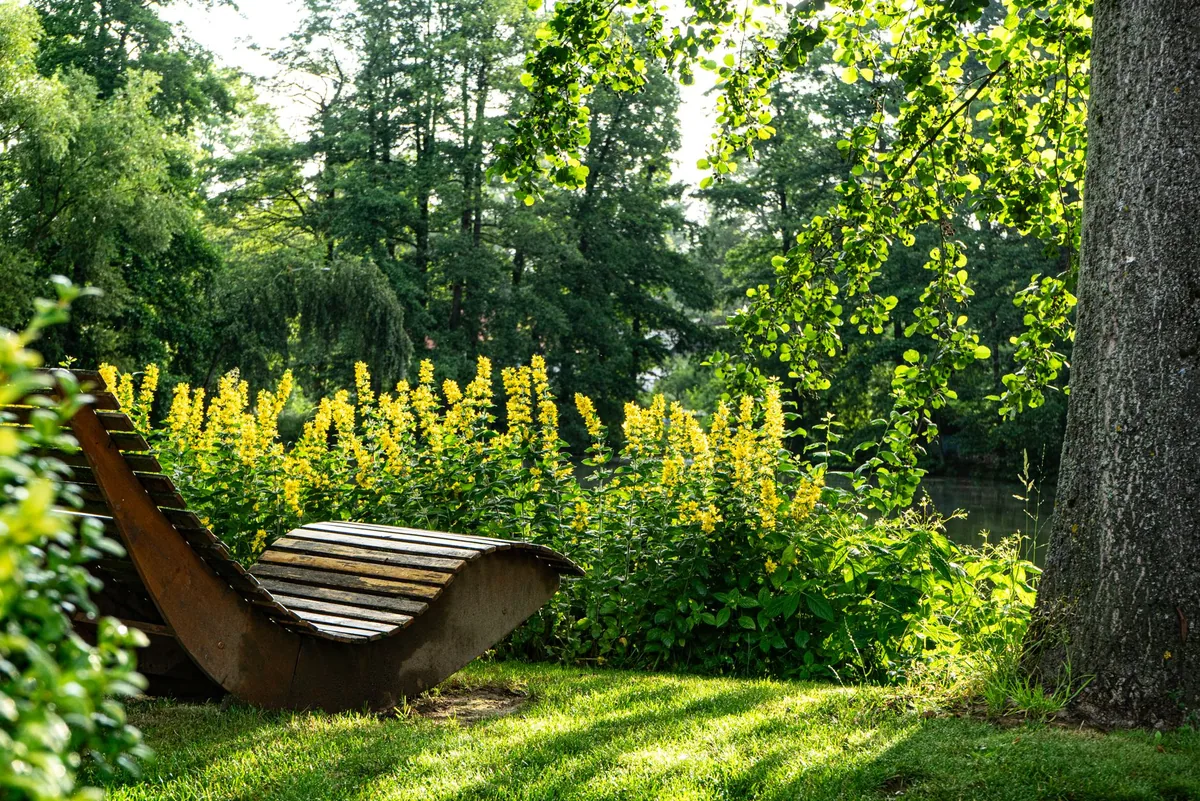 A garden bench in autumn light