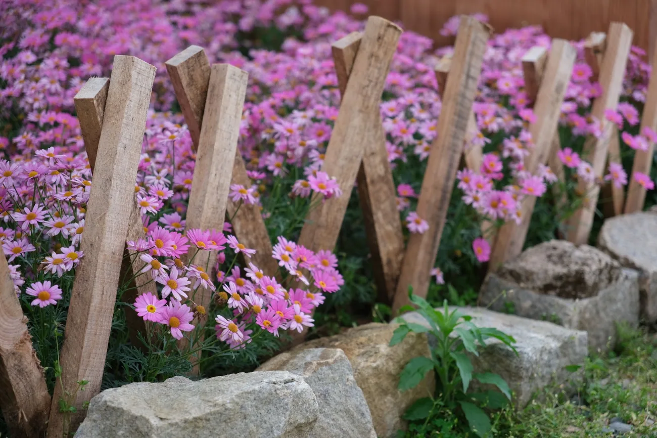 A flower border edged against a lawn