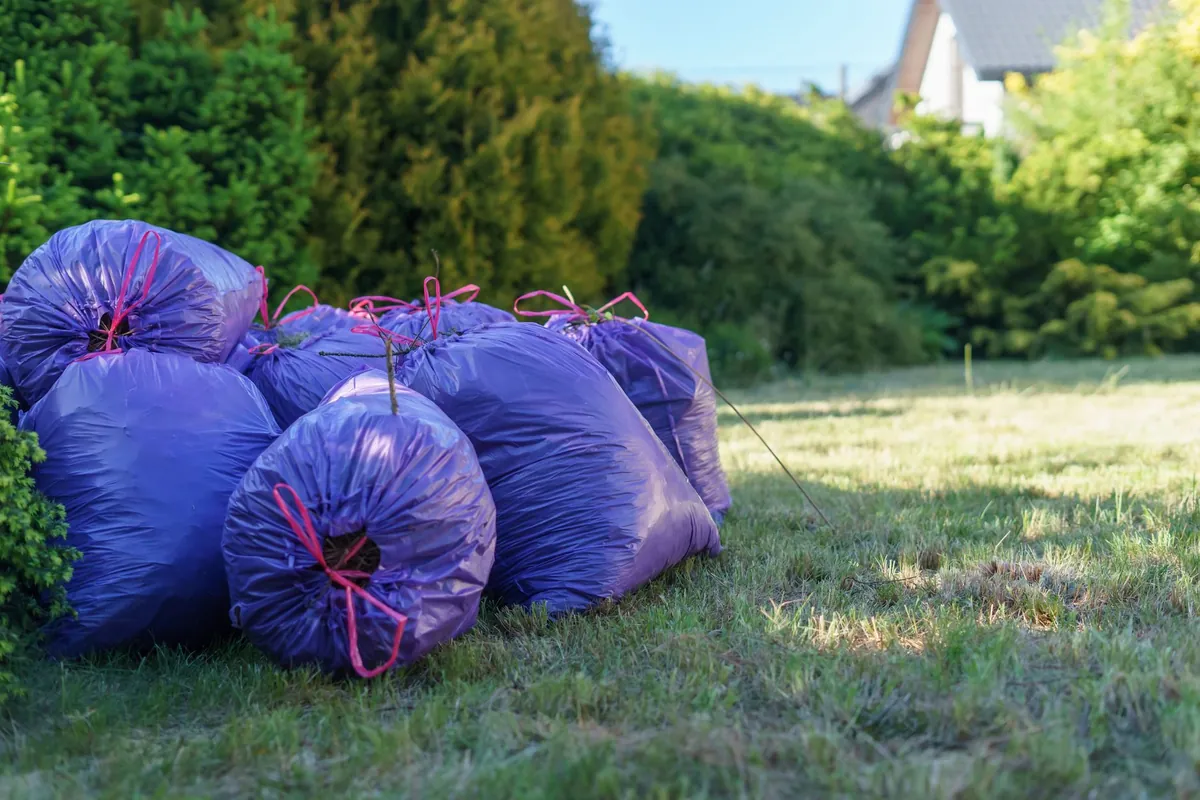 Bags of garden waste waiting on a lawn