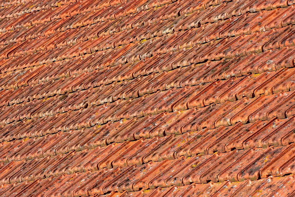 Orange clay tiles streaked with lichen