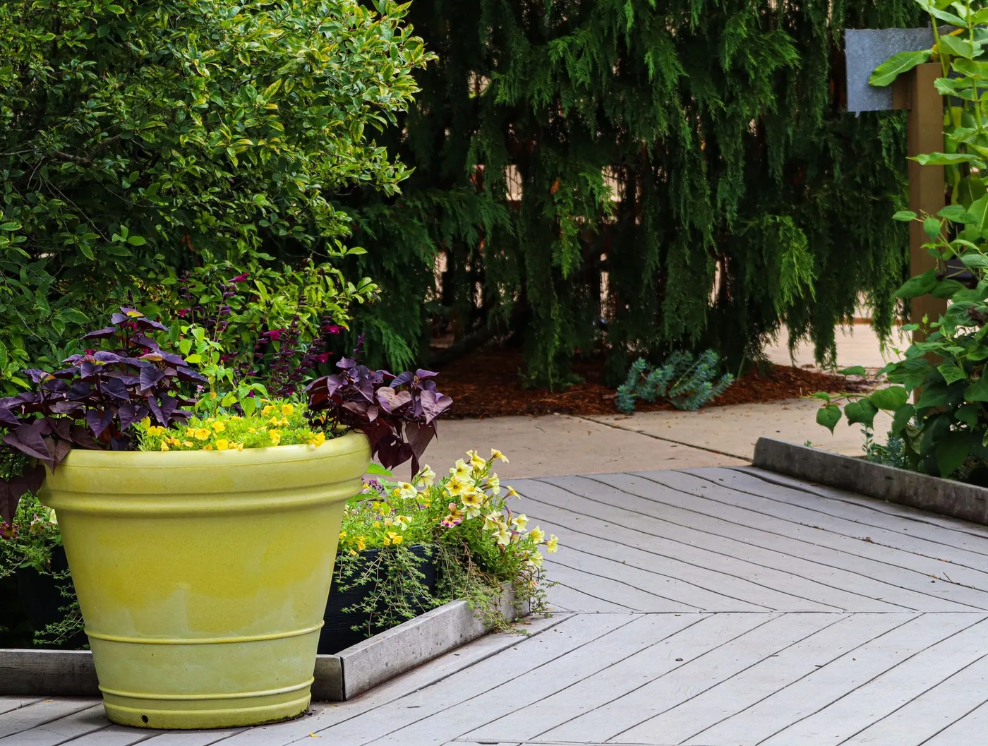 Clean garden decking with a planter beside it