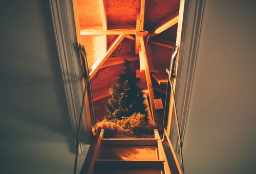Looking up through an open loft hatch with a ladder
