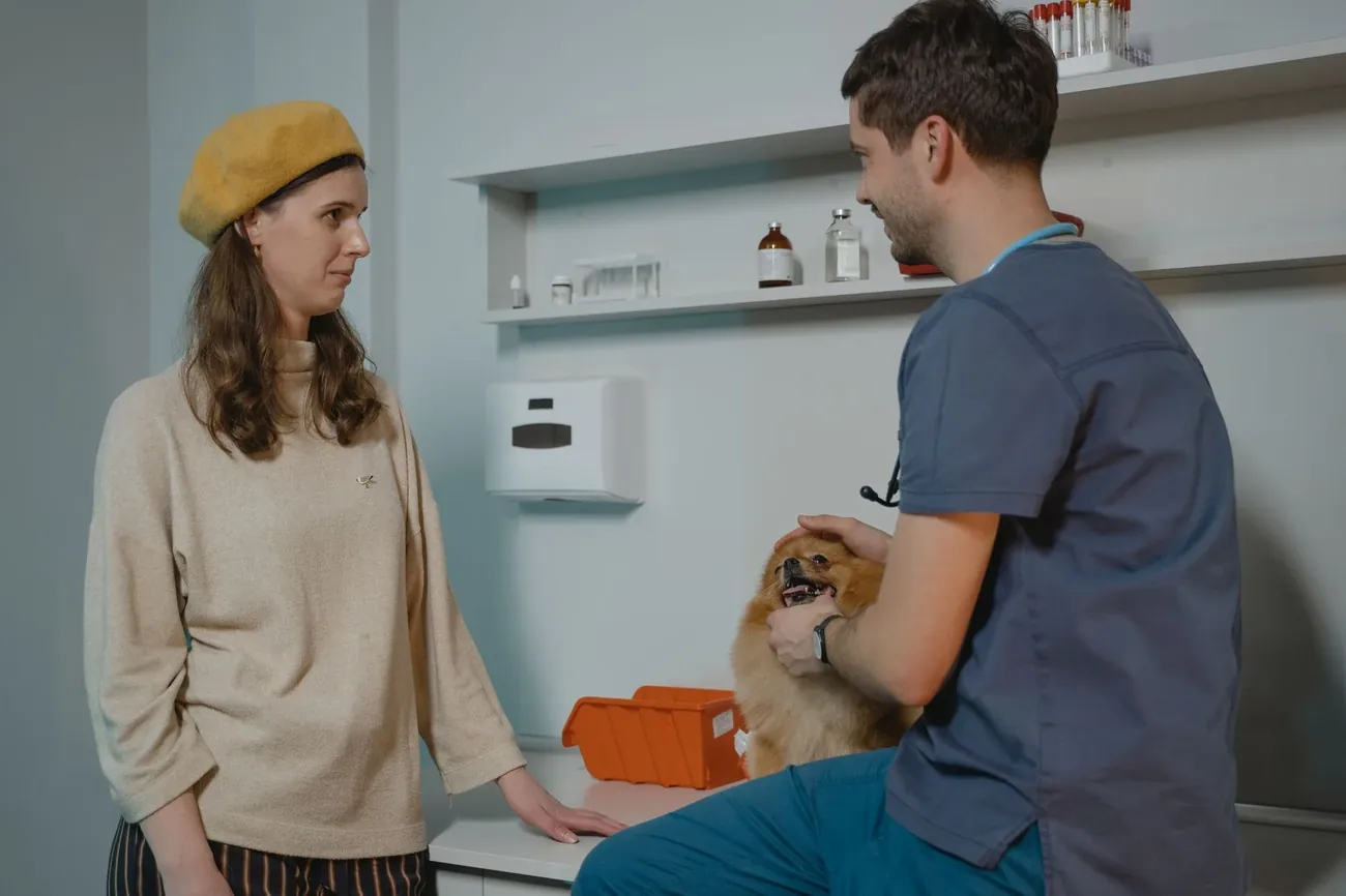 A vet examining a Pomeranian on the table while its owner watches